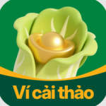 Ví Cải Thảo